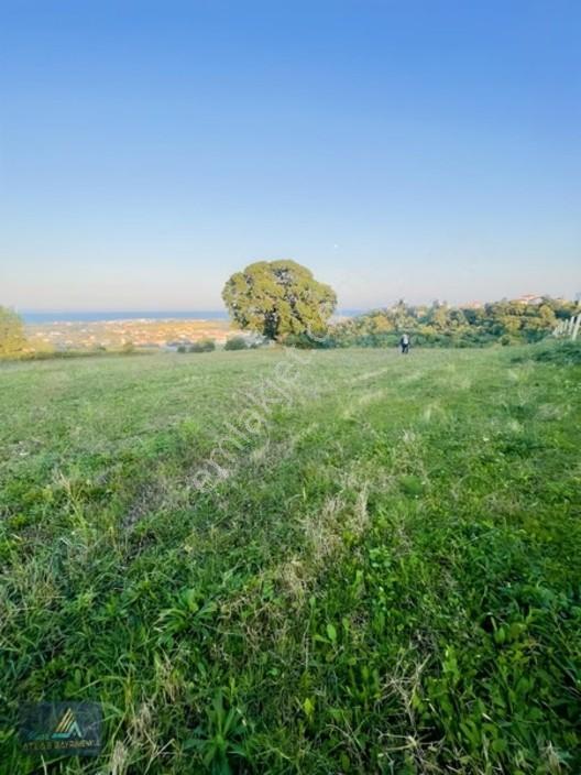 Mavi Atlas Tan 19 Mayıs Kertmede Deniz Manzaralı Tarla — fotoğraf 9