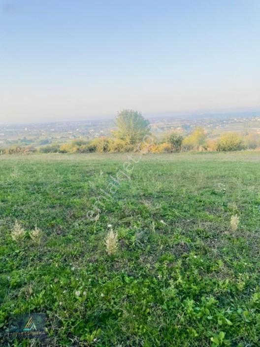 Mavi Atlas Tan 19 Mayıs Kertmede Deniz Manzaralı Tarla — fotoğraf 12