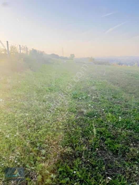 Mavi Atlas Tan 19 Mayıs Kertmede Deniz Manzaralı Tarla — fotoğraf 14
