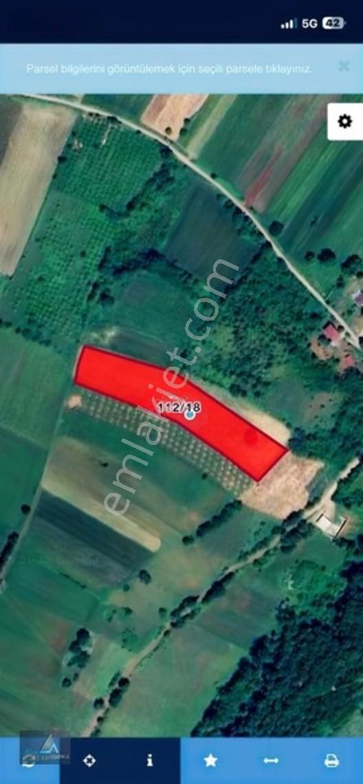 Mavi Atlas Tan 19 Mayıs Kertmede Deniz Manzaralı Tarla — fotoğraf 15