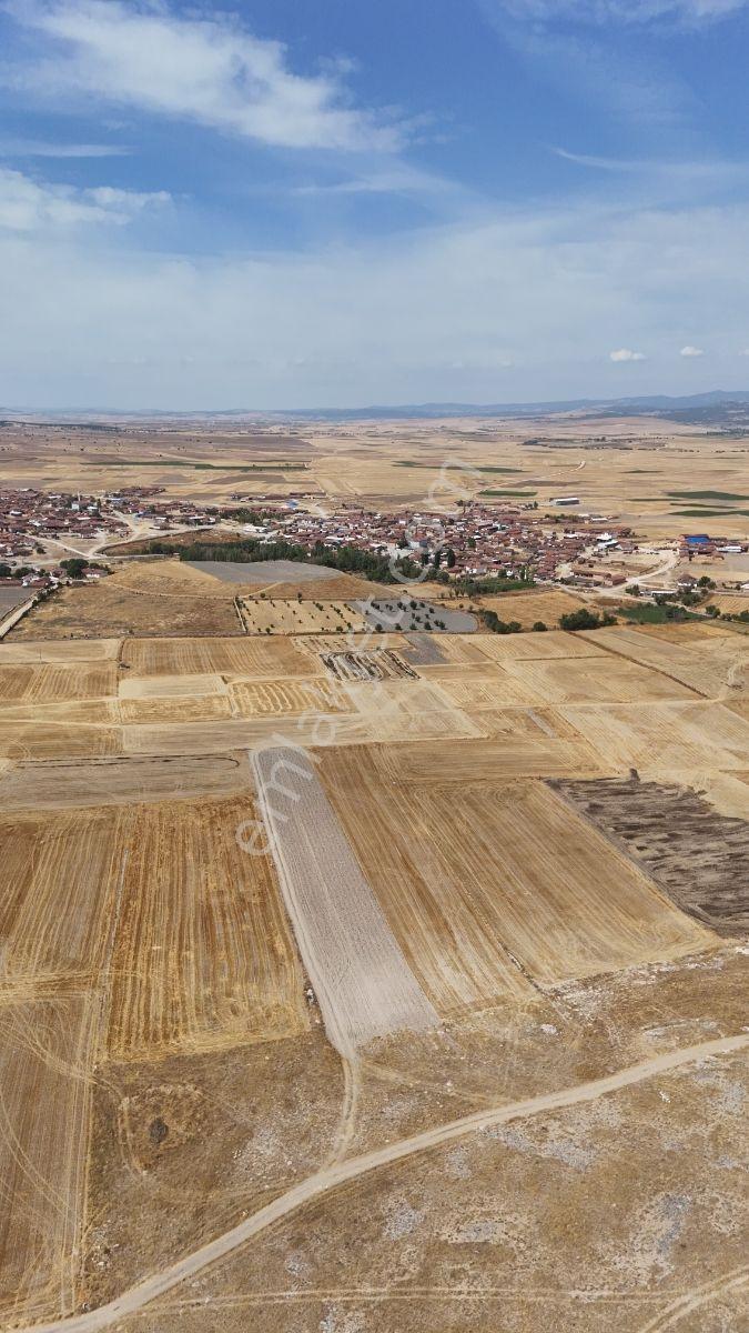 Acil Kütahya Altıntaş Gökçeler'De 2536M2 Müstakil Tektaputarla