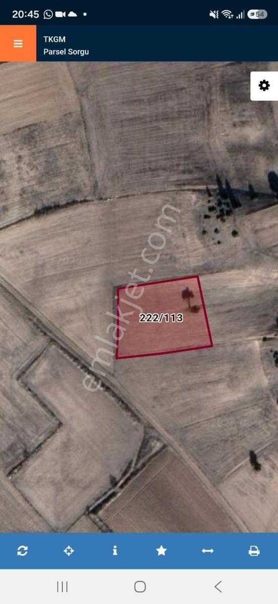 Acil Kütahya Altıntaş Gökçeler'de 2536m2 Müstakil Tektaputarla — fotoğraf 3