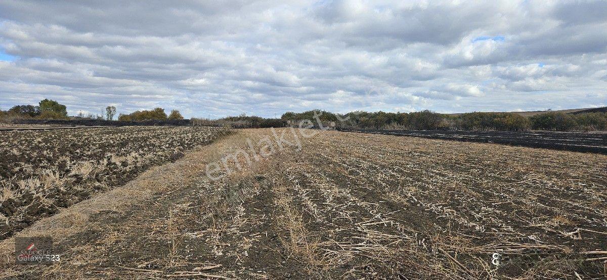 Kırklareli Lüleburgaz Ovacık Köyün'de 508 M2 Satılık — fotoğraf 6