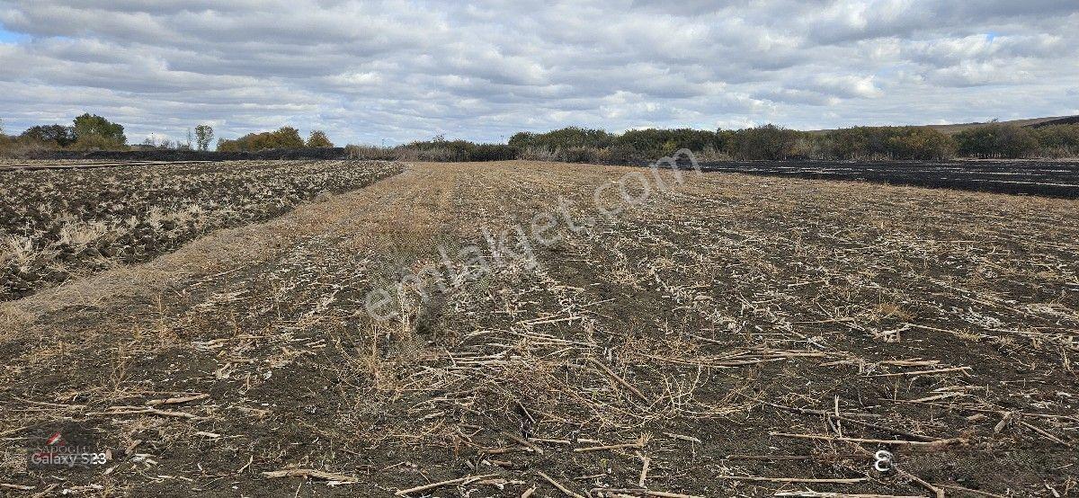Kırklareli Lüleburgaz Ovacık Köyün'de 508 M2 Satılık — fotoğraf 11