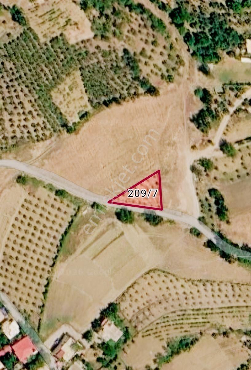 Yıldırım Emlaktan Dadağlı'da 520 M2 Satılık Tek Tapu Tarla — fotoğraf 8