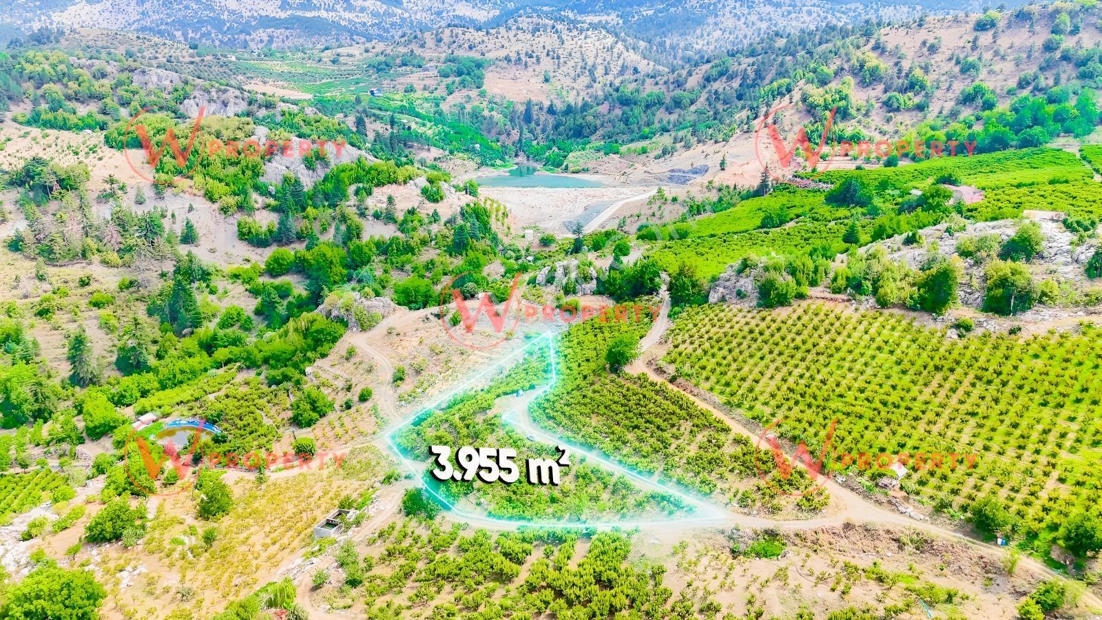 W Property Toroslar Arslanköy Sınırında 3.955M² Şeftali Bahçesi