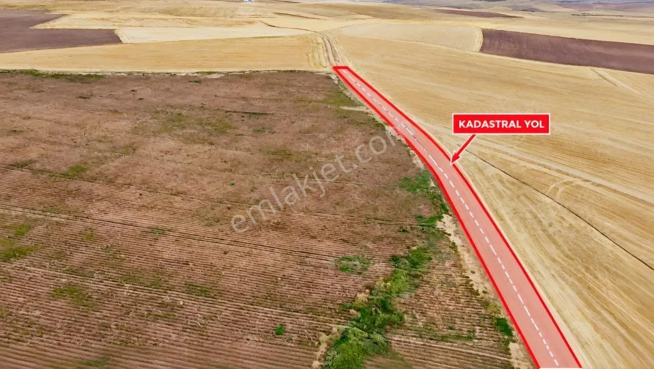 Demirbilek'Ten Kadastrol Yol Cepheli 60 Dönüm Tarla