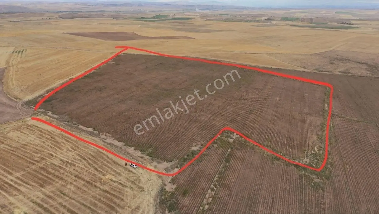 Demirbilek'ten Kadastrol Yol Cepheli 60 Dönüm Tarla — fotoğraf 2