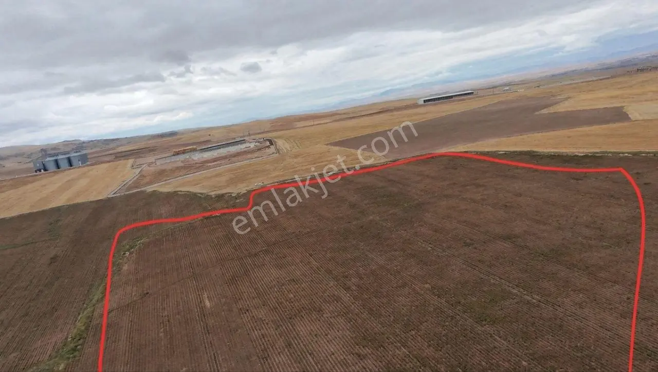 Demirbilek'ten Kadastrol Yol Cepheli 60 Dönüm Tarla — fotoğraf 3