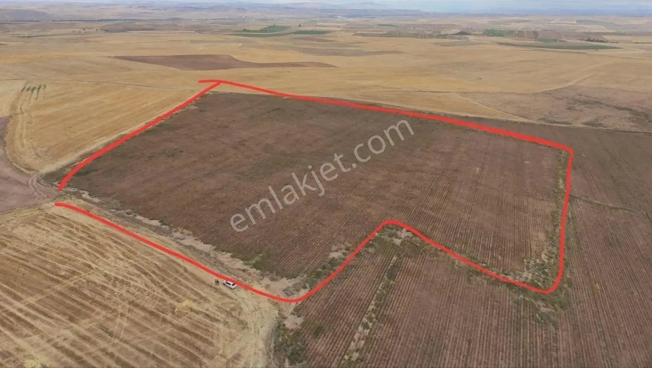 Demirbilek'ten Kadastrol Yol Cepheli 60 Dönüm Tarla — fotoğraf 4