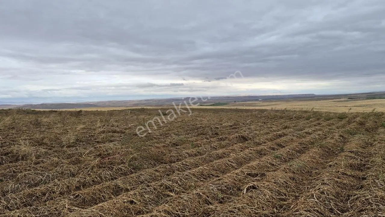 Demirbilek'ten Kadastrol Yol Cepheli 60 Dönüm Tarla — fotoğraf 5