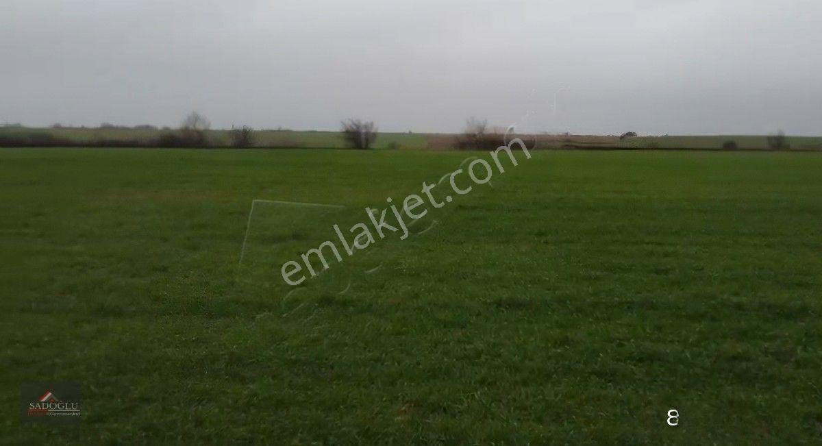 Kırklareli Kavaklı'da Acil Satılık 15.250 M2 — fotoğraf 2