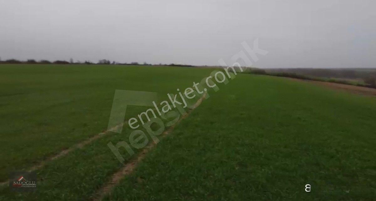 Kırklareli Kavaklı'da Acil Satılık 15.250 M2 — fotoğraf 3