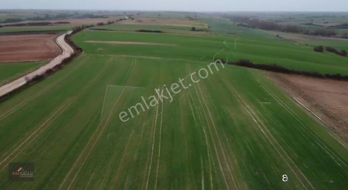 Kırklareli Kavaklı'da Acil Satılık 15.250 M2 — fotoğraf 4