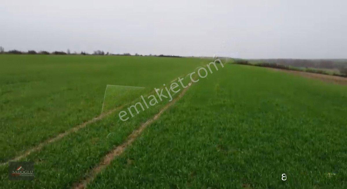 Kırklareli Kavaklı'da Acil Satılık 15.250 M2 — fotoğraf 5