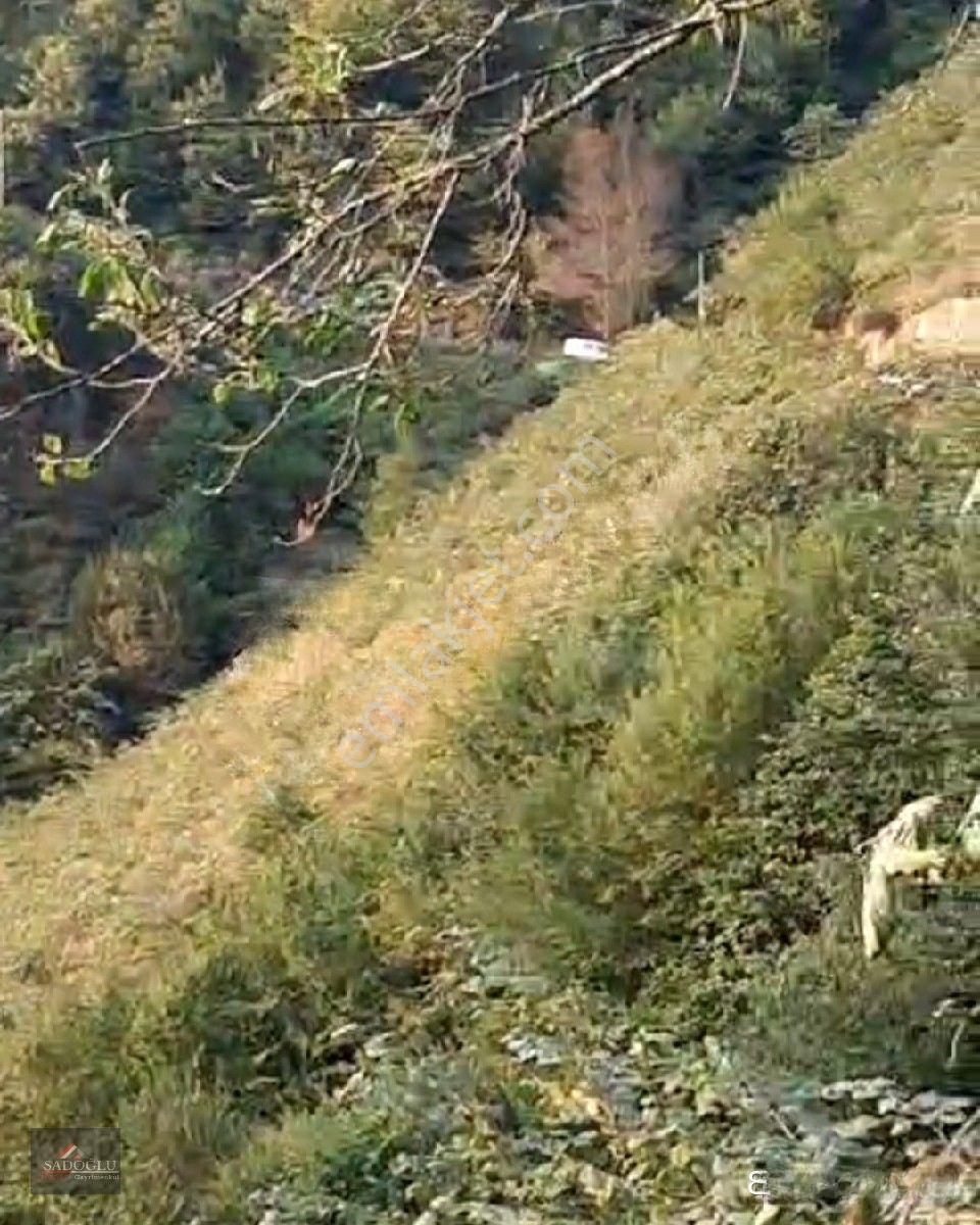 Trabzon Yomra Kayabaşın' Da Satılık 9.319 M2 Fındık Bahçesi — fotoğraf 3