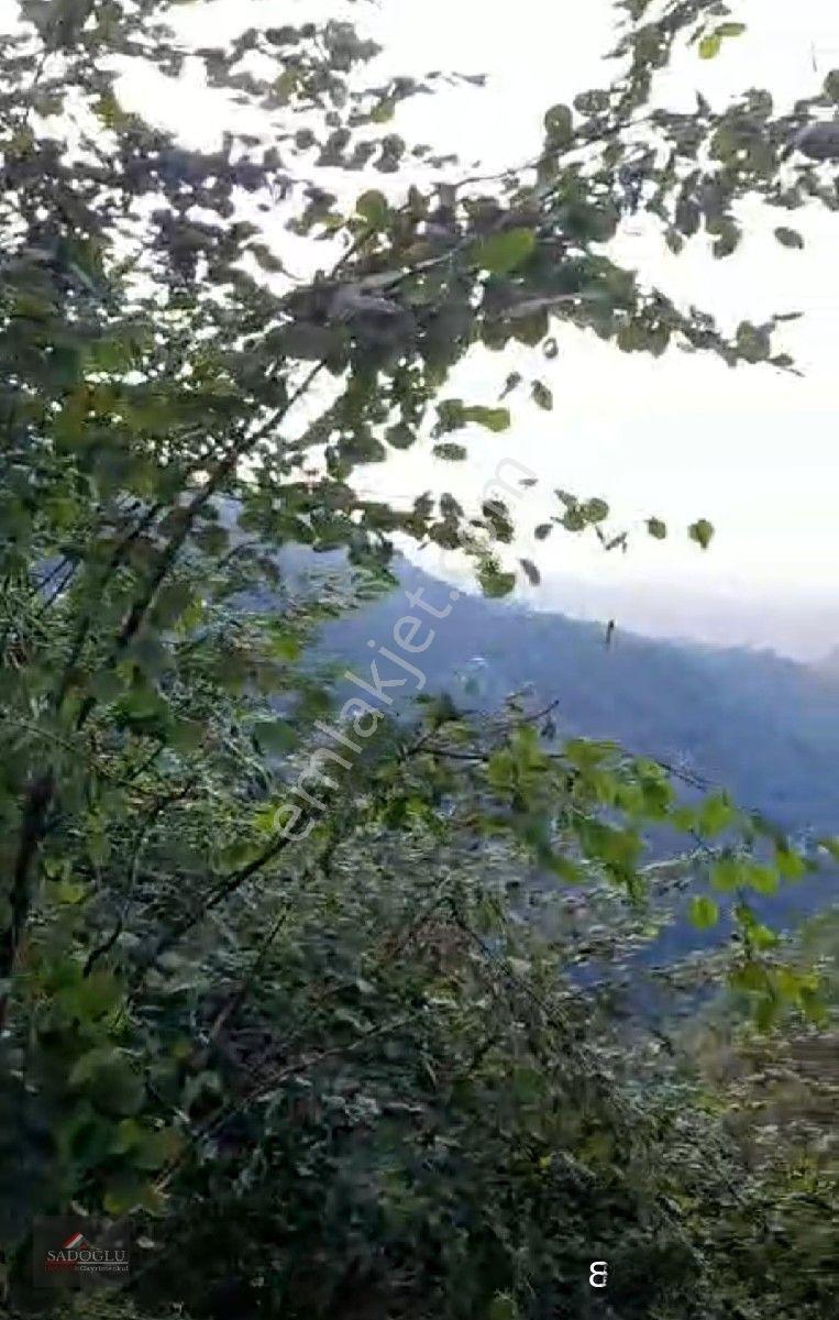 Trabzon Yomra Kayabaşın' Da Satılık 9.319 M2 Fındık Bahçesi — fotoğraf 6