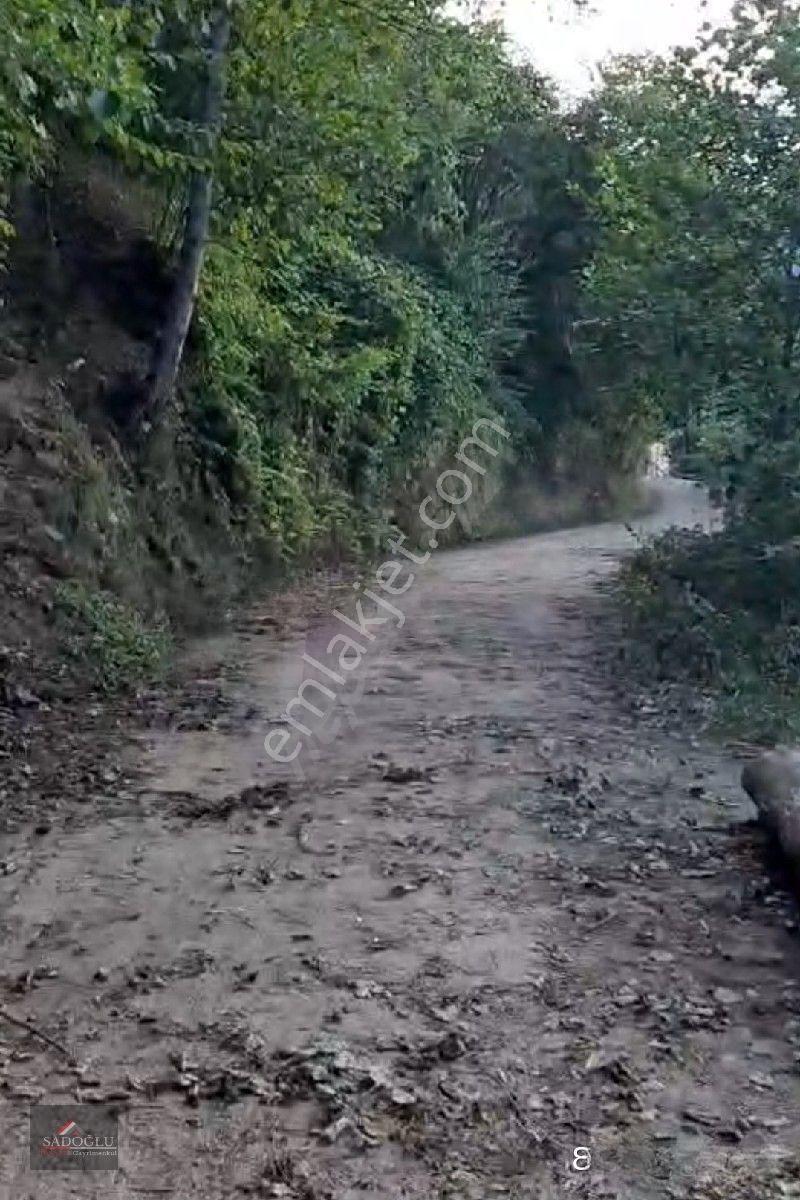 Trabzon Yomra Kayabaşın' Da Satılık 9.319 M2 Fındık Bahçesi — fotoğraf 7