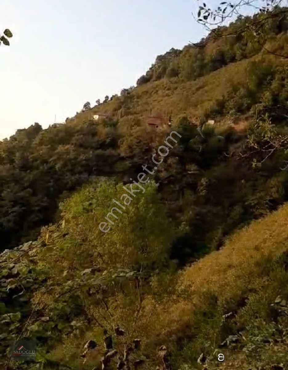 Trabzon Yomra Kayabaşın' Da Satılık 9.319 M2 Fındık Bahçesi — fotoğraf 8