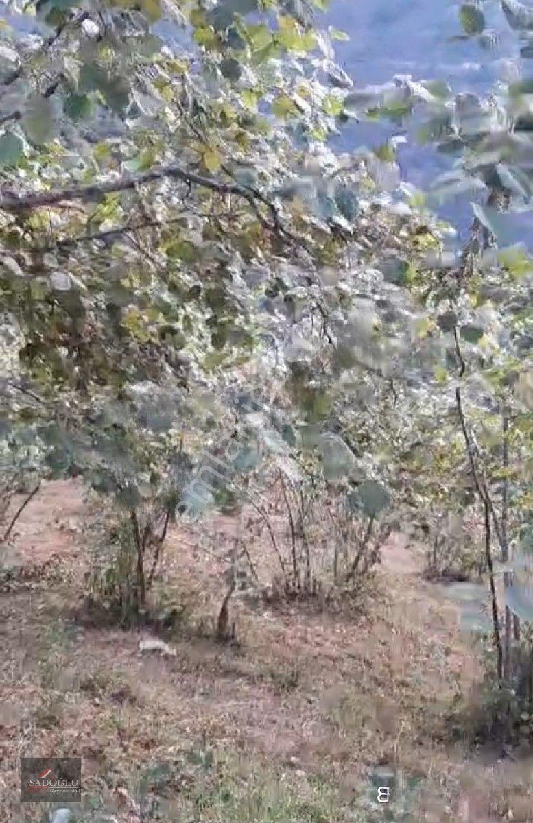 Trabzon Yomra Kayabaşın' Da Satılık 9.319 M2 Fındık Bahçesi — fotoğraf 9