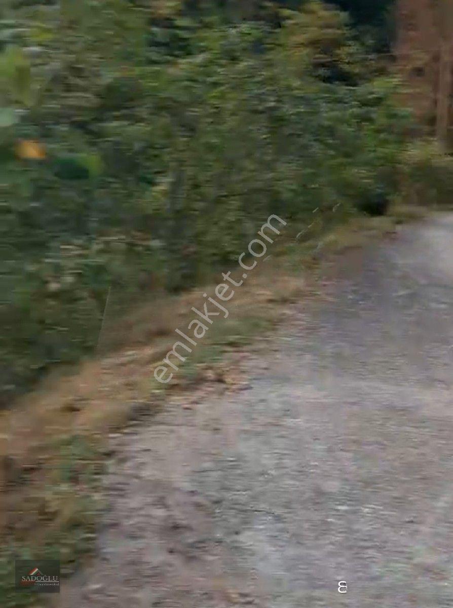 Trabzon Yomra Kayabaşın' Da Satılık 9.319 M2 Fındık Bahçesi — fotoğraf 10