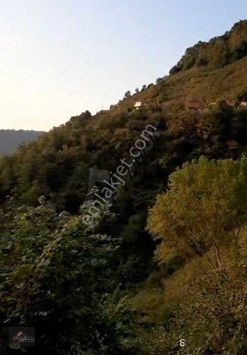 Trabzon Yomra Kayabaşın' Da Satılık 9.319 M2 Fındık Bahçesi — fotoğraf 11