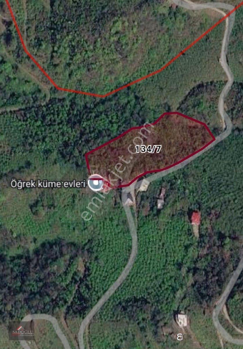 Trabzon Yomra Kayabaşın' Da Satılık 9.319 M2 Fındık Bahçesi — fotoğraf 15