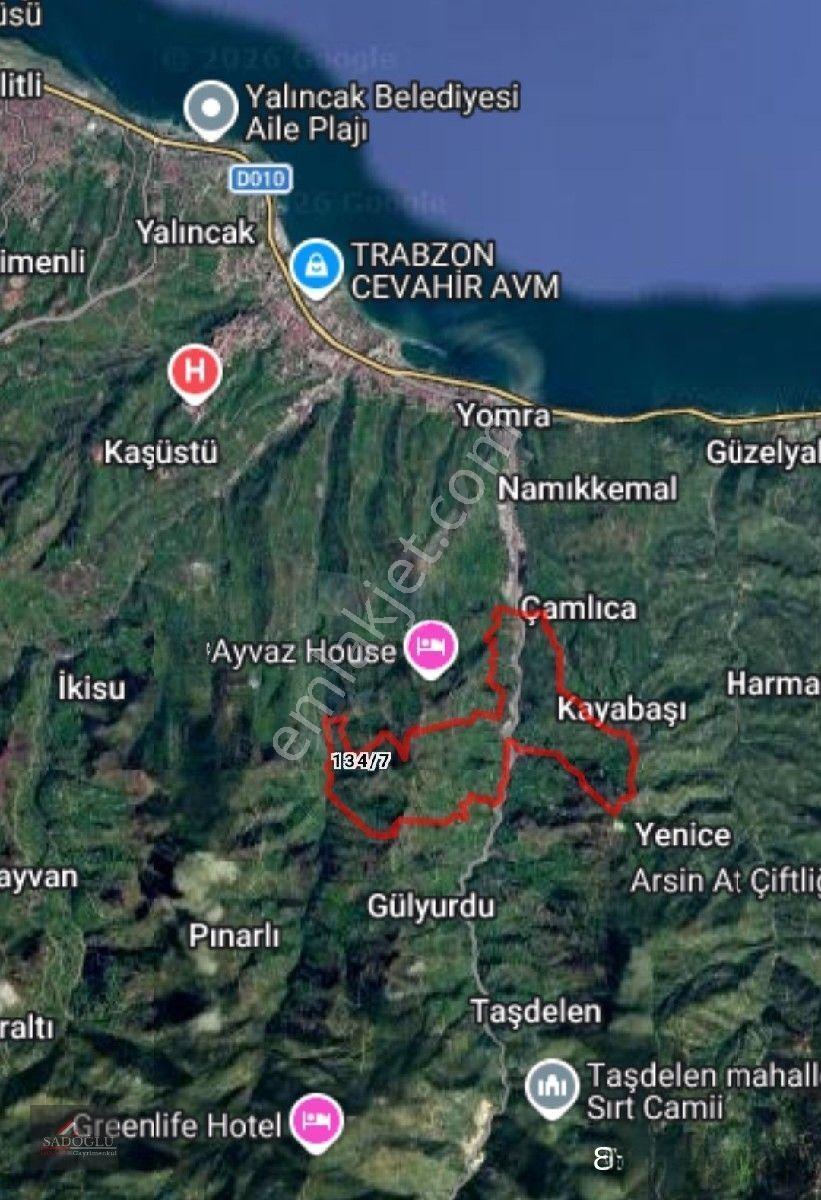 Trabzon Yomra Kayabaşın' Da Satılık 9.319 M2 Fındık Bahçesi — fotoğraf 16
