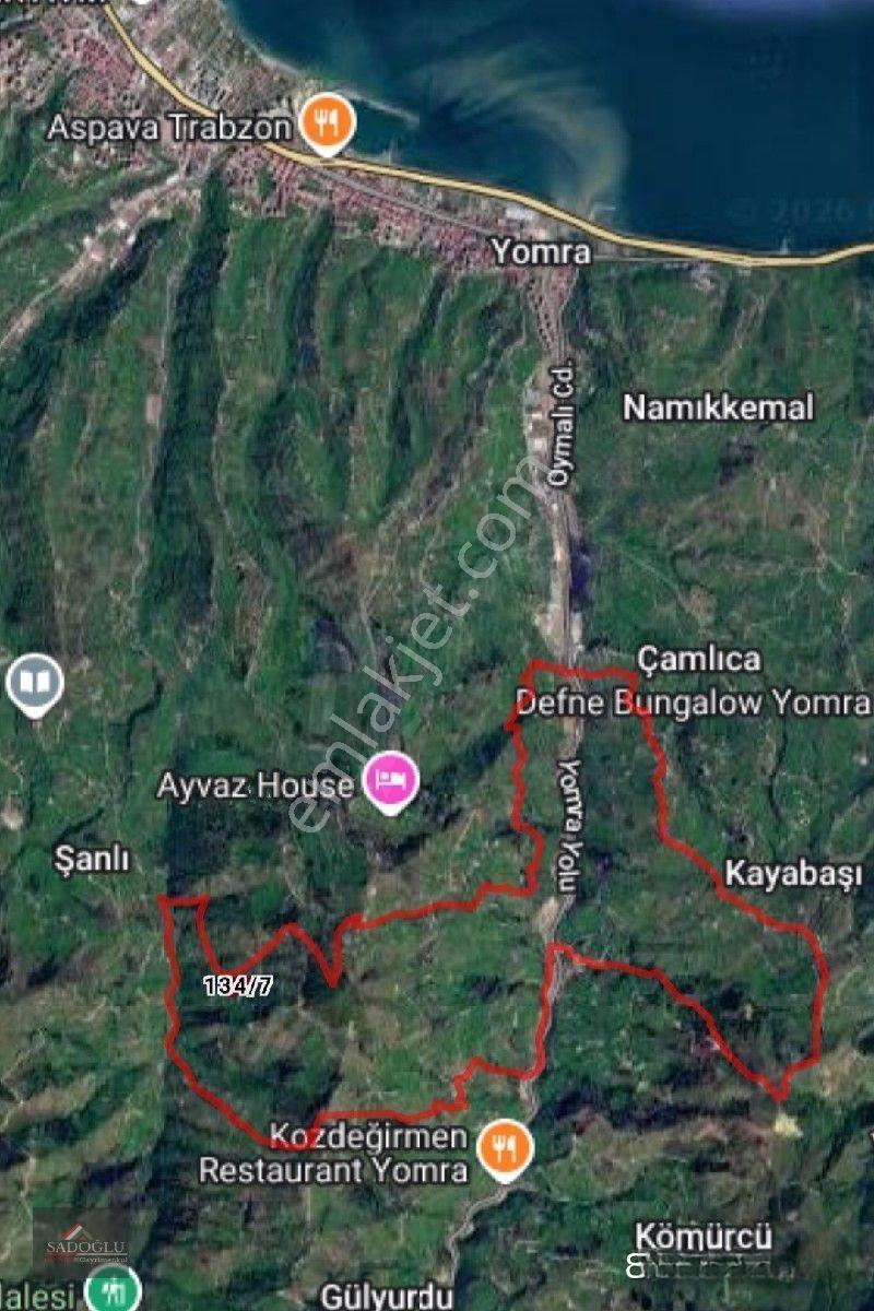 Trabzon Yomra Kayabaşın' Da Satılık 9.319 M2 Fındık Bahçesi — fotoğraf 18
