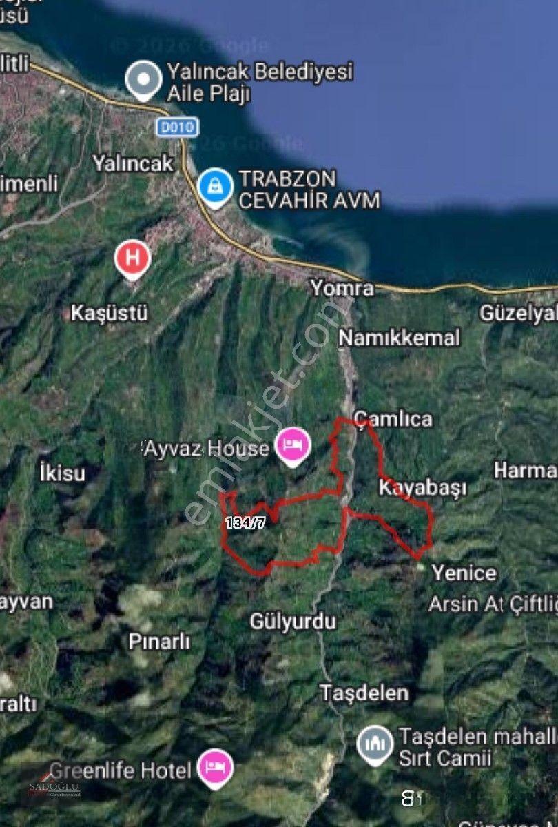 Trabzon Yomra Kayabaşın' Da Satılık 9.319 M2 Fındık Bahçesi — fotoğraf 19