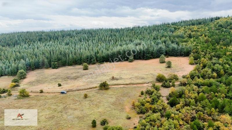 Yola Sıfır 3.942 M² Müstakil Tarla! Doğanhisar Ayaspaşa'Da