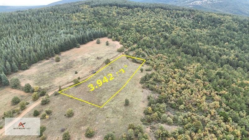 Yola Sıfır 3.942 M² Müstakil Tarla! Doğanhisar Ayaspaşa'da — fotoğraf 2