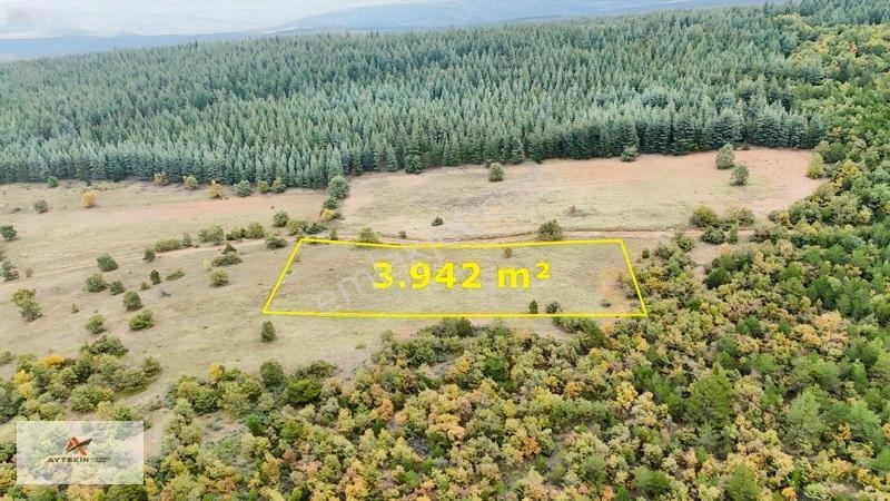 Yola Sıfır 3.942 M² Müstakil Tarla! Doğanhisar Ayaspaşa'da — fotoğraf 3