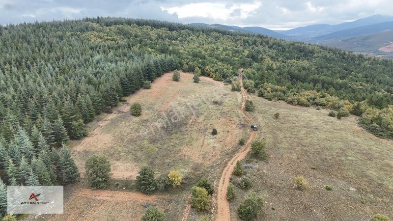 Yola Sıfır 3.942 M² Müstakil Tarla! Doğanhisar Ayaspaşa'da — fotoğraf 4