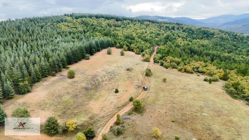 Yola Sıfır 3.942 M² Müstakil Tarla! Doğanhisar Ayaspaşa'da — fotoğraf 5