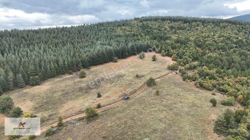 Yola Sıfır 3.942 M² Müstakil Tarla! Doğanhisar Ayaspaşa'da — fotoğraf 6
