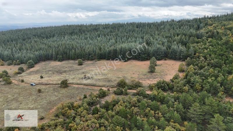 Yola Sıfır 3.942 M² Müstakil Tarla! Doğanhisar Ayaspaşa'da — fotoğraf 7