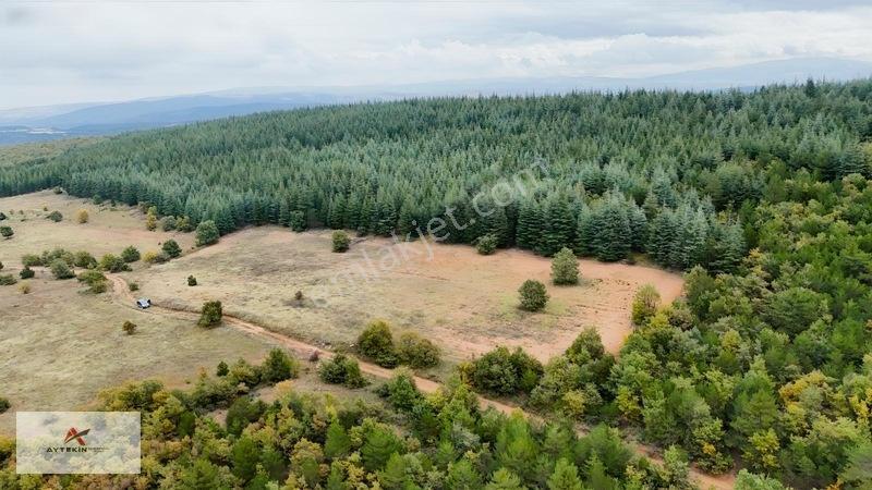 Yola Sıfır 3.942 M² Müstakil Tarla! Doğanhisar Ayaspaşa'da — fotoğraf 8