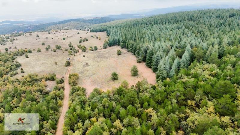 Yola Sıfır 3.942 M² Müstakil Tarla! Doğanhisar Ayaspaşa'da — fotoğraf 9