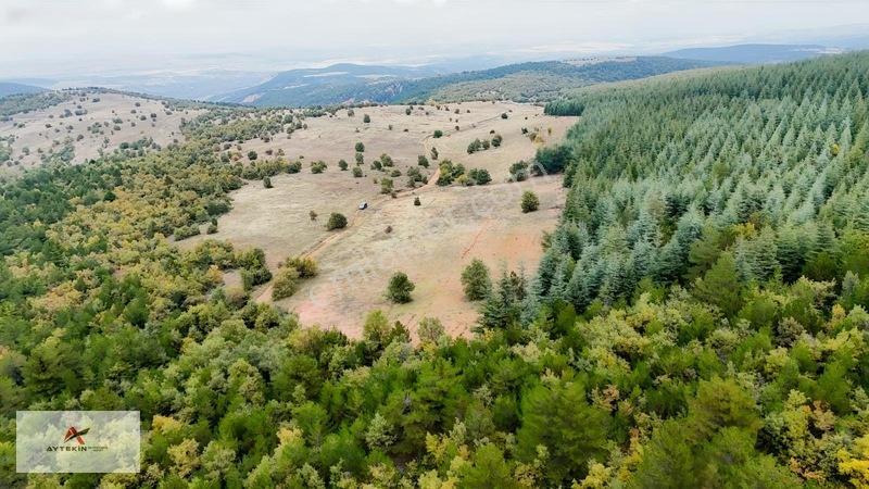 Yola Sıfır 3.942 M² Müstakil Tarla! Doğanhisar Ayaspaşa'da — fotoğraf 10
