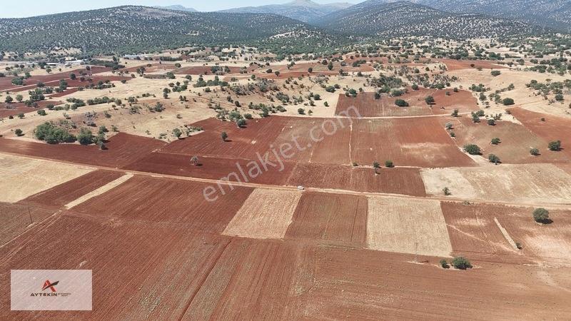 Resmî Yola Sıfır 2.498 M² Müstakil Tarla! Akören Merkeze Sadece