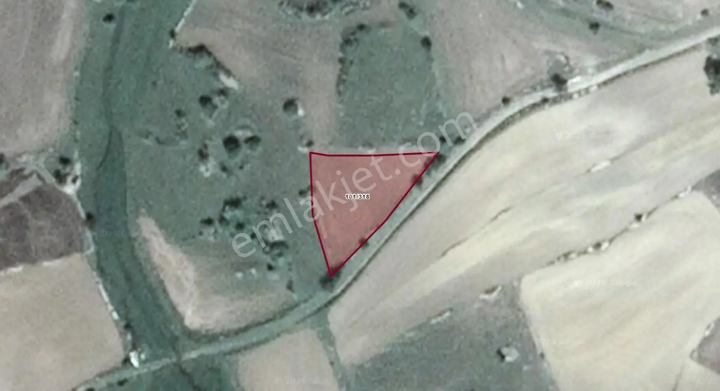 Satılık 1.215 M2 Tarla Kadastro Yola Parsel Çavdarhisar / Kütahya — fotoğraf 3