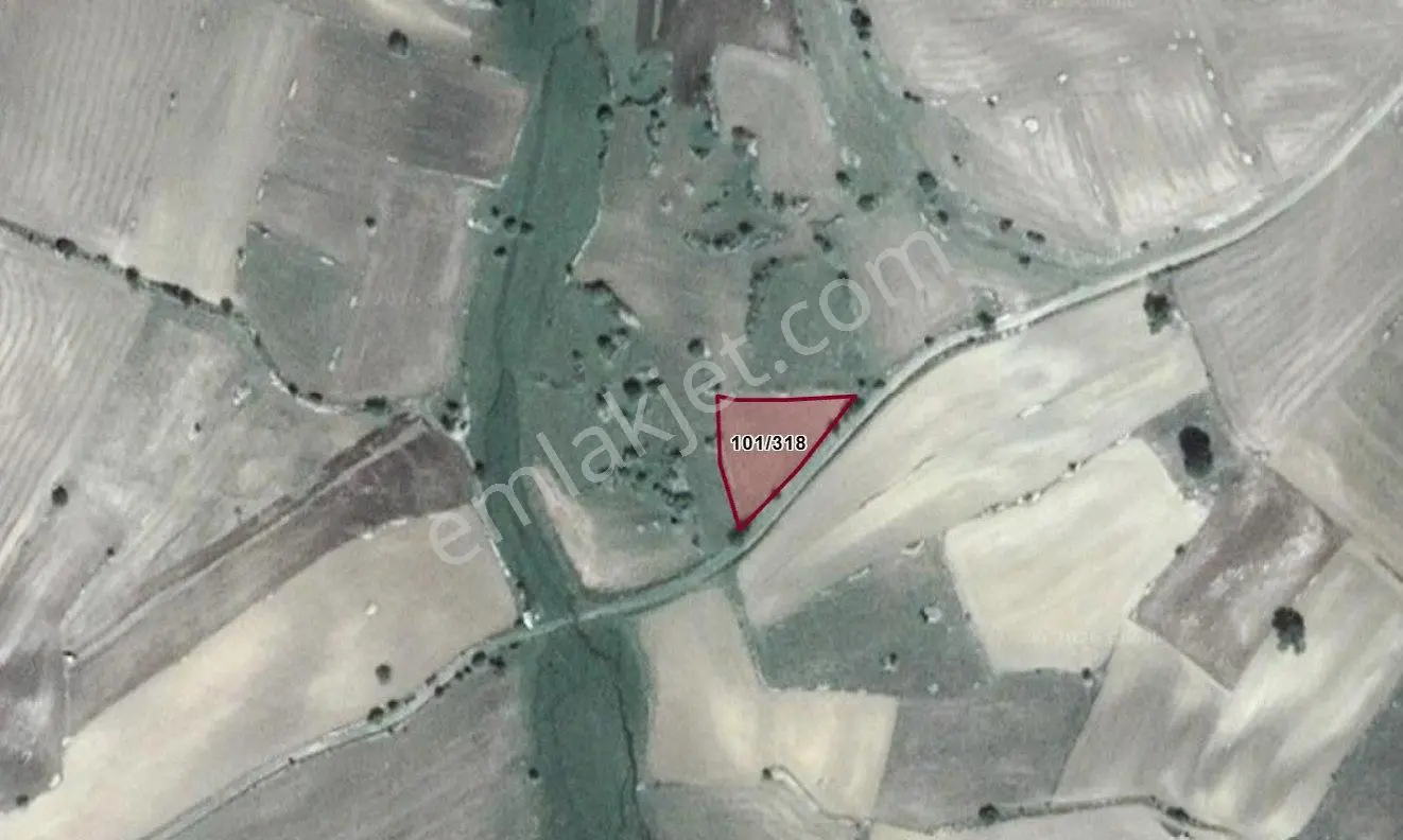 Satılık 1.215 M2 Tarla Kadastro Yola Parsel Çavdarhisar / Kütahya — fotoğraf 4