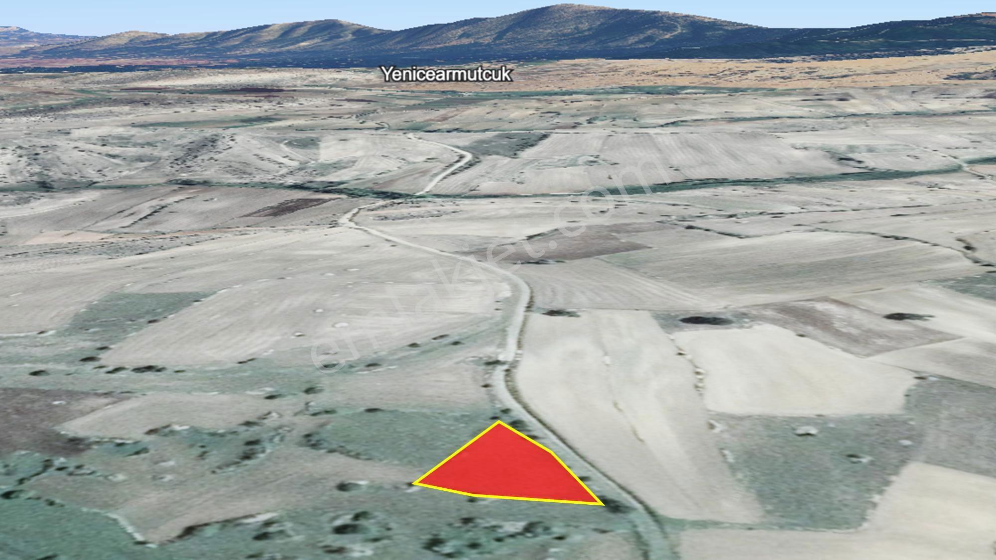 Satılık 1.215 M2 Tarla Kadastro Yola Parsel Çavdarhisar / Kütahya — fotoğraf 7