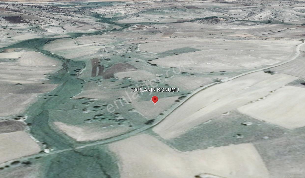 Satılık 1.215 M2 Tarla Kadastro Yola Parsel Çavdarhisar / Kütahya — fotoğraf 8