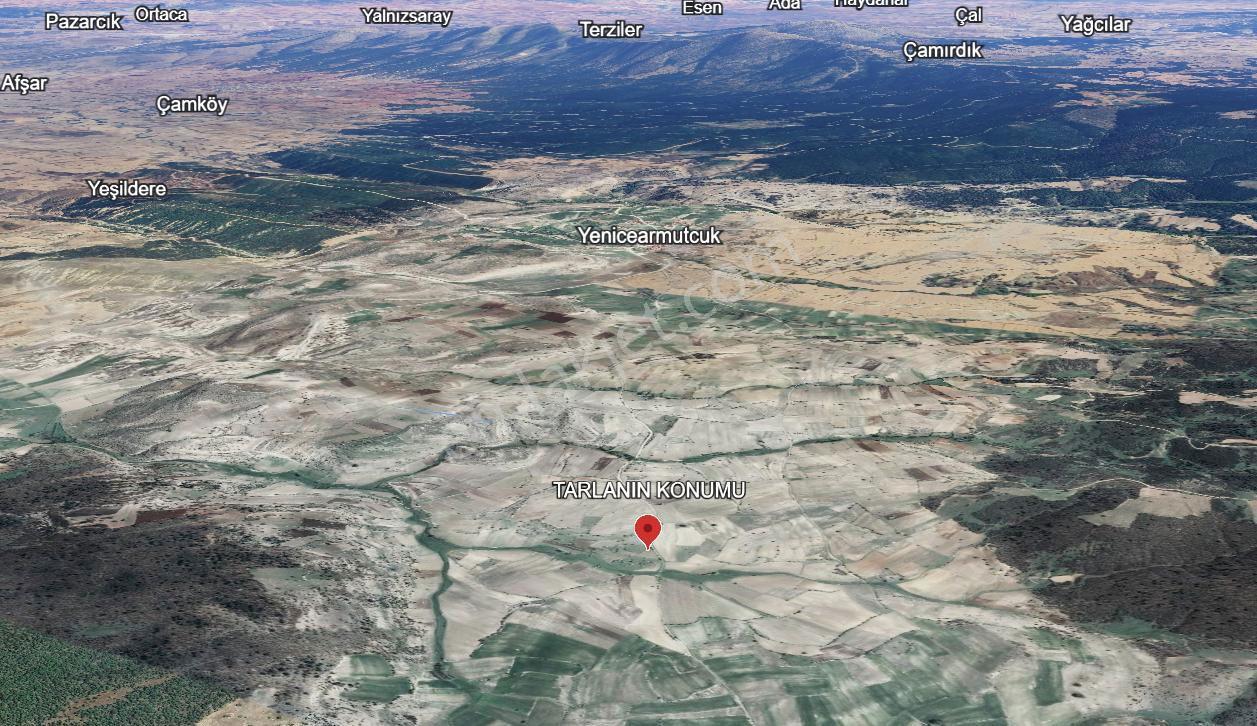 Satılık 1.215 M2 Tarla Kadastro Yola Parsel Çavdarhisar / Kütahya — fotoğraf 9