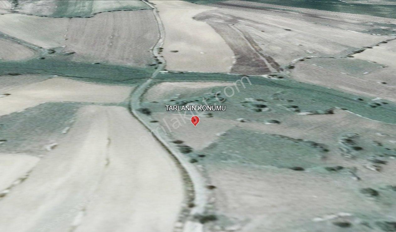 Satılık 1.215 M2 Tarla Kadastro Yola Parsel Çavdarhisar / Kütahya — fotoğraf 13