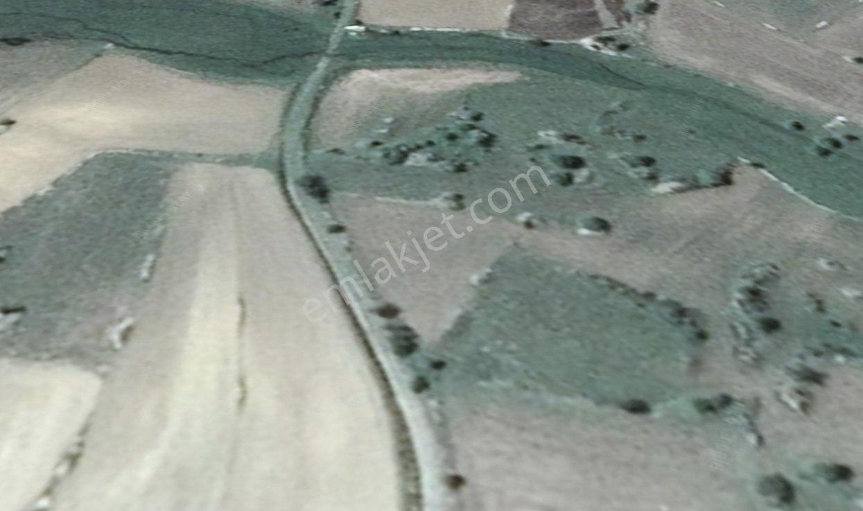 Satılık 1.215 M2 Tarla Kadastro Yola Parsel Çavdarhisar / Kütahya — fotoğraf 14