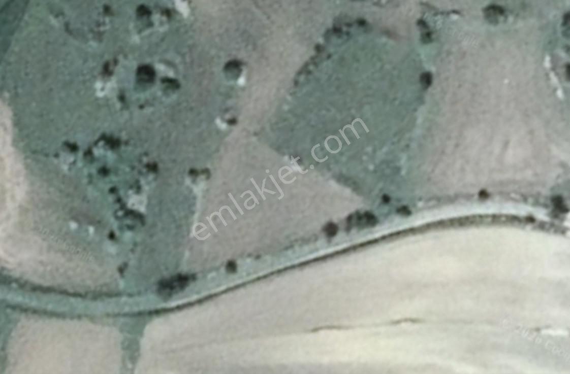 Satılık 1.215 M2 Tarla Kadastro Yola Parsel Çavdarhisar / Kütahya — fotoğraf 15