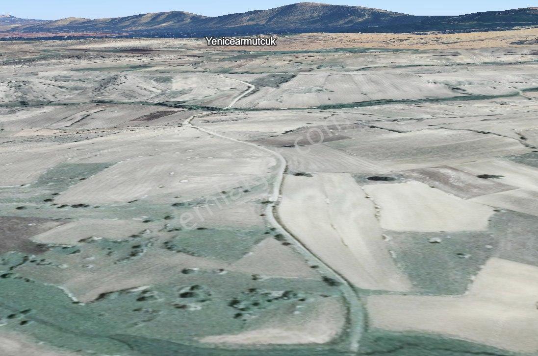 Satılık 1.215 M2 Tarla Kadastro Yola Parsel Çavdarhisar / Kütahya — fotoğraf 16